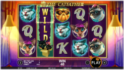 The Catfather slot wild symbols