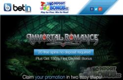 20 Free Spins at Betin Casino