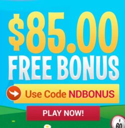 $85 No Deposit Bonus at Bingo Billy