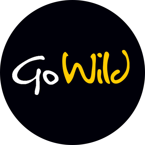 play now at Go Wild Casino