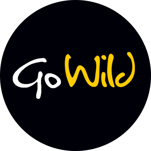 Go Wild Casino bonuses Go Wild Casino bonuses