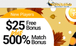 $25 Free Bingo Bonus at Cyber Bingo