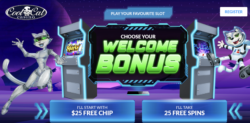 $25 Free Chip or 25 Free Spins at Cool Cat Casino