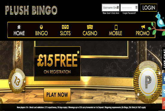 Plush casino no deposit bonus Plush casino no deposit bonus