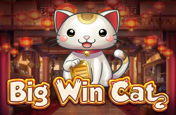 big win cat slot review