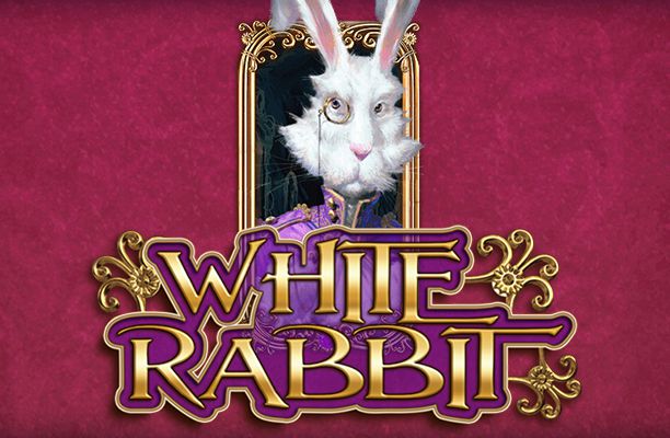 white rabbit slot review