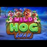 50 Free Spins on ‘Wild Hog’ at FreeSpin Casino bonus code