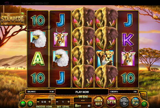 Vegas rush casino promo code Vegas rush casino promo code