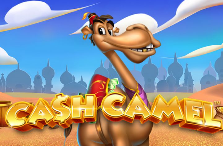 Cash Camel Slot Review