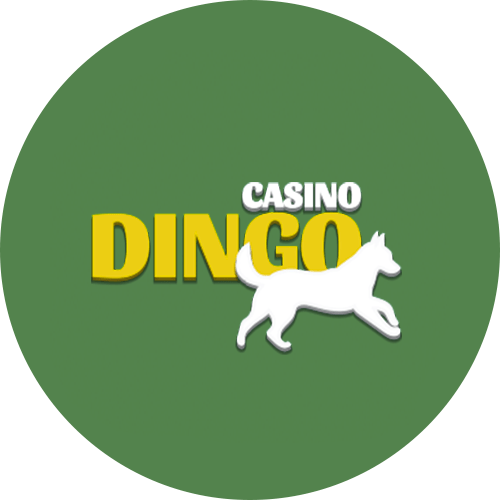 play now at Casino Dingo