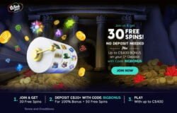 30 Free Spins at Wink Slots (Canada)