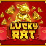 Lucky Rat