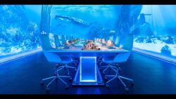 The world’s most expensive restaurants