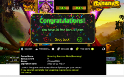 50 Free Spins at WinnerZon Casino