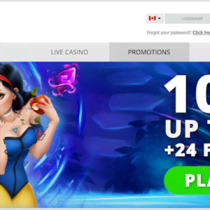 24 Free Spins at 24Bettle