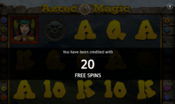 20 Free Spins at SlotVibe Casino
