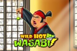 Online slot review: Wild Hot Wasabi