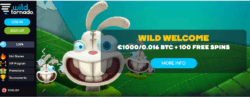 100% + 1,000 EUR + 100 Bonus Spins at Wild Tornado