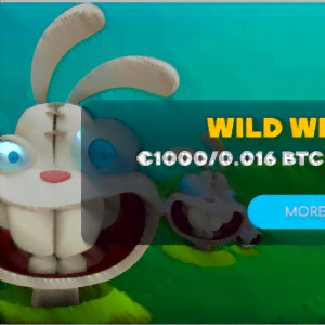 100% + 1,000 EUR + 100 Bonus Spins at Wild Tornado