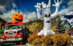 How will you be celebrating Halloween?