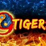 9 Tigers