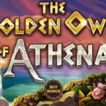 The Golden Owl of Athena