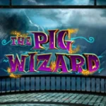 The Pig Wizard