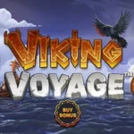 Viking Voyage