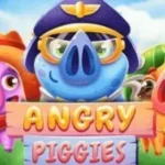 Angry Piggies