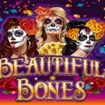 Beautiful Bones