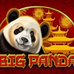 Big Panda