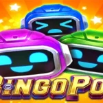 Bingo Pop