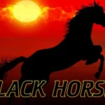 Black Horse