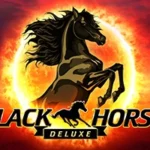 Black Horse Deluxe