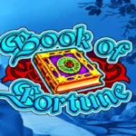Book of Fortune