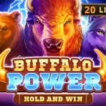 Buffalo Power: Hold and Win