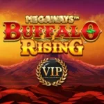 Buffalo Rising All Action Megaways