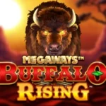Buffalo Rising Megaways