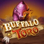 Buffalo Toro
