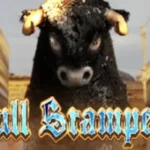 Bull Stampede