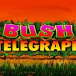 Bush Telegraph
