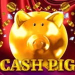 Cash Pig