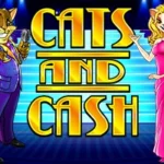 Cats & Cash