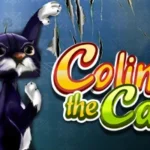 Colin The Cat