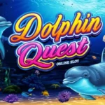 Dolphin Quest