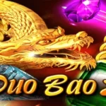 Duo Bao 2