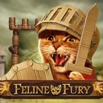 Feline Fury
