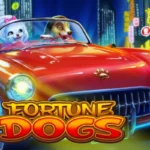Fortune Dogs