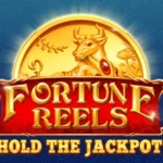 Fortune Reels
