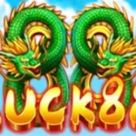 Luck88